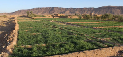 Le gouvernement marocain approuve 116 projets fonciers communaux